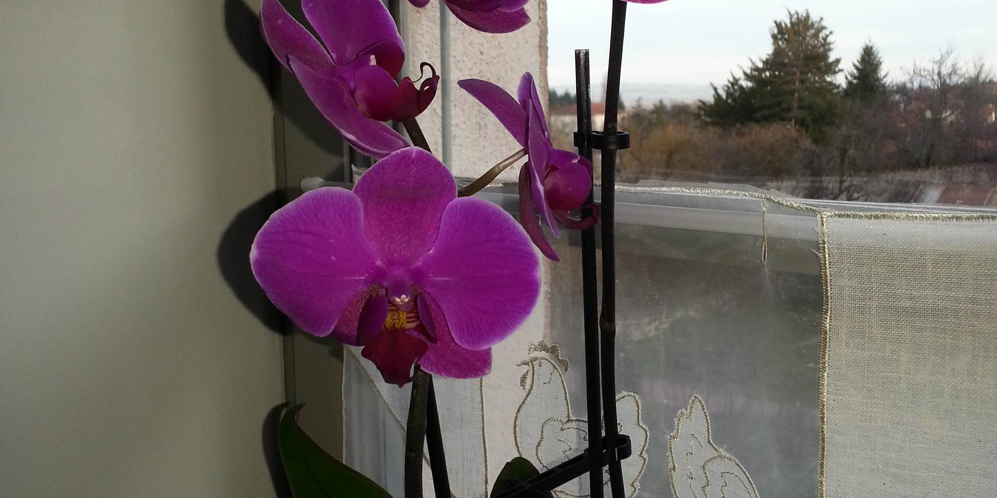 20150307_175841