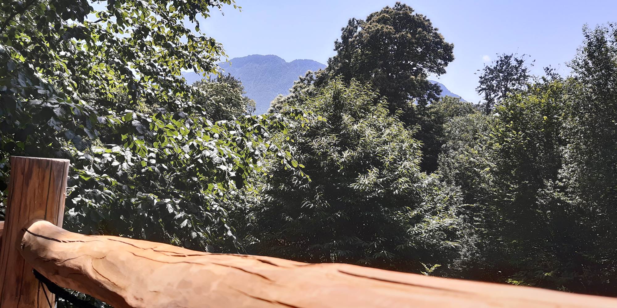 terrasse bien exposé pour prendre un bain de soleil perché