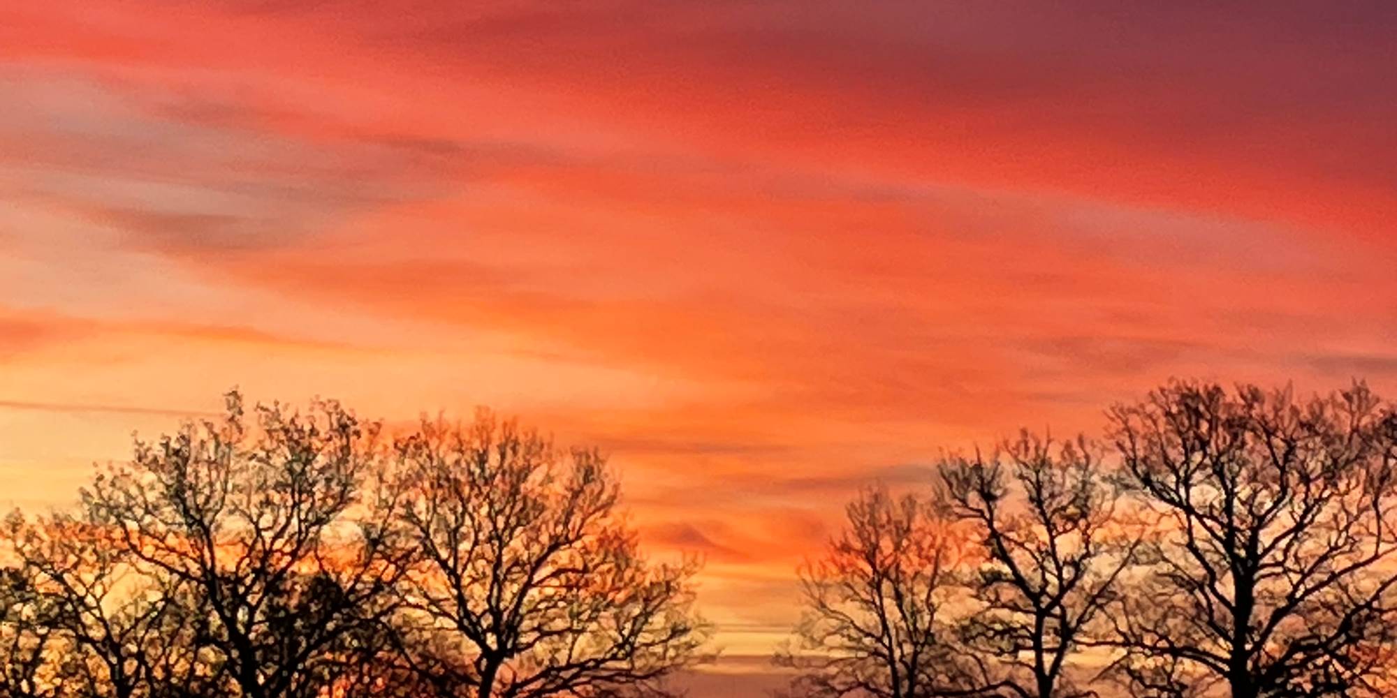 Photo du paysage environnant - Chambres d'hôtes La Grange Richard à Dinsac