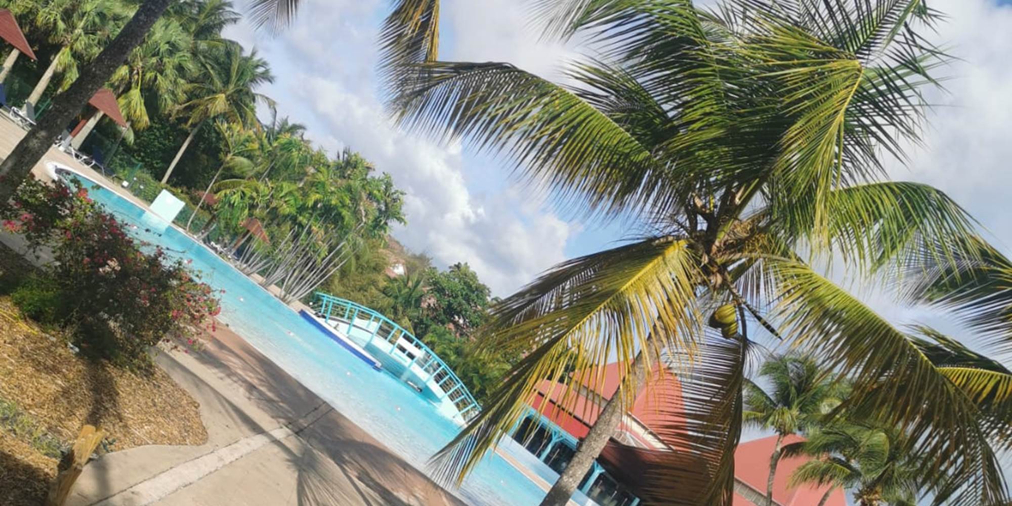 Piscine et bains de soleil