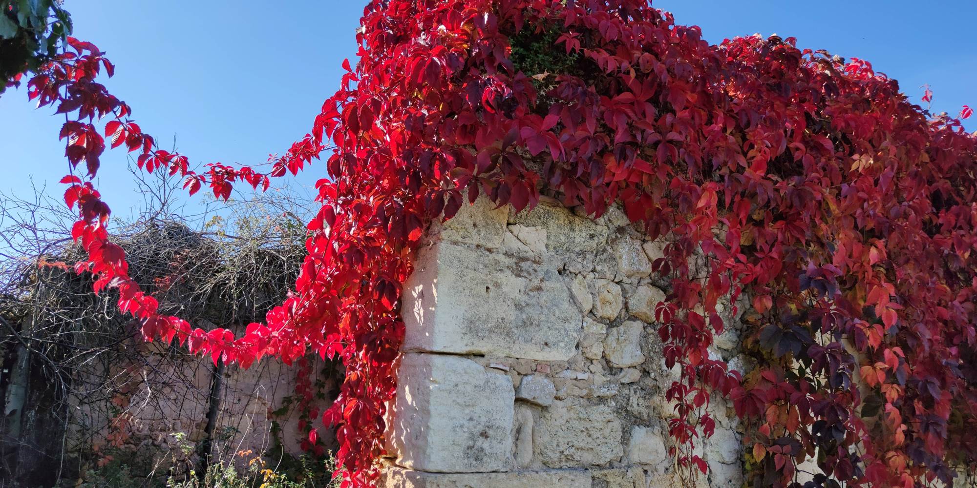 L'automne