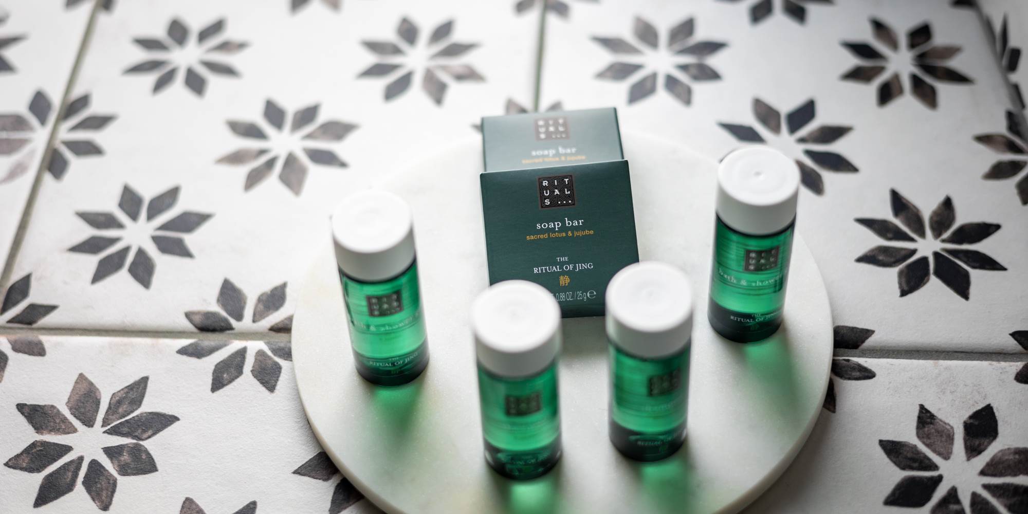 maison-d'hotes-agapanthe&salicorne- Bretagne- côted'émeraude-dinan-cap-fréhel 13