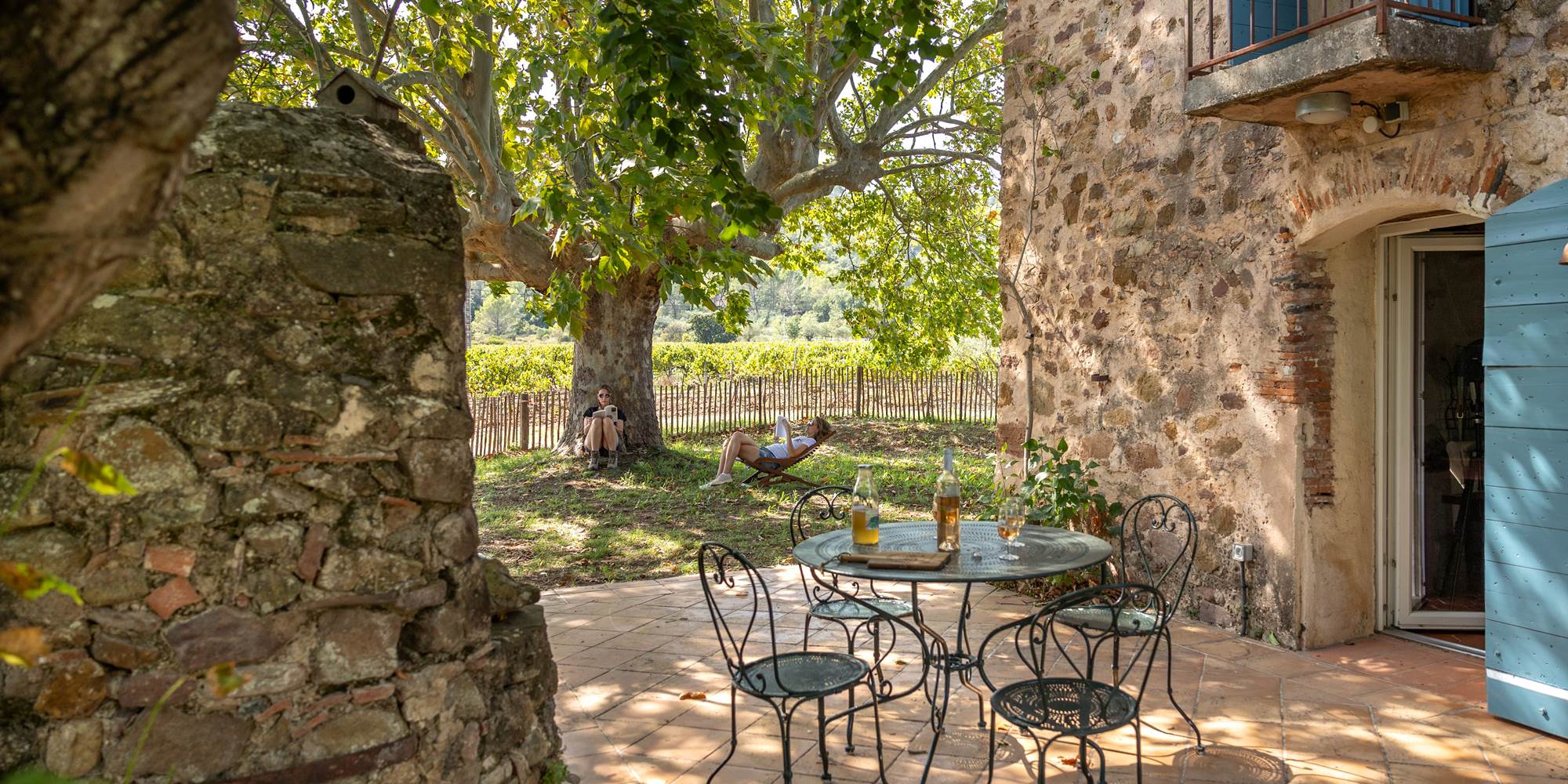 Domaine des Peirecedes-0259