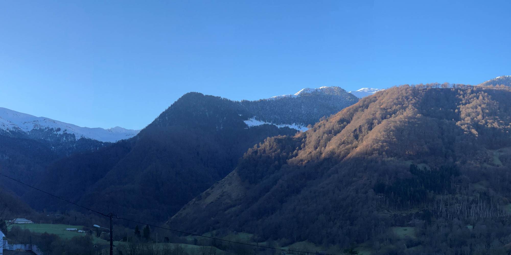 Panorama