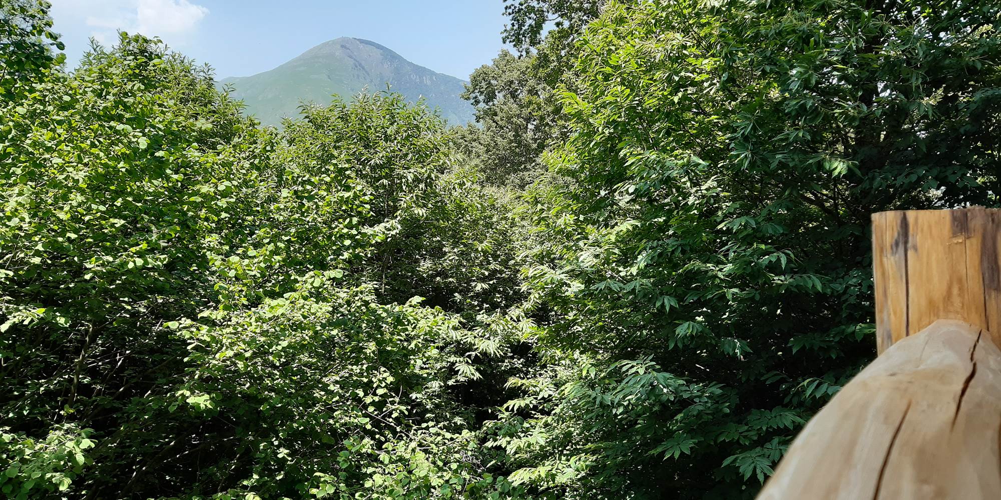 belle vue en perspective