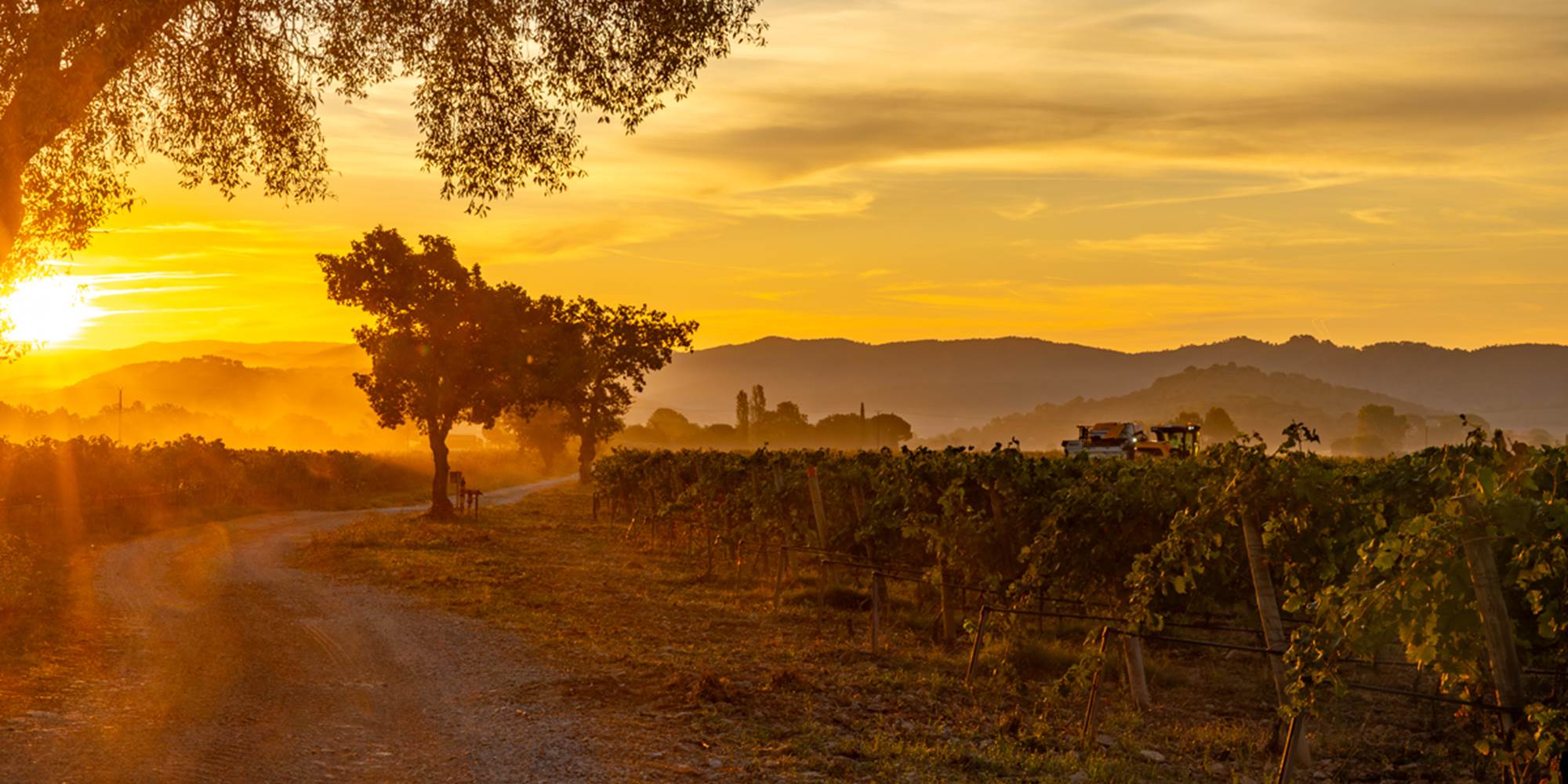 Domaine des Perirecedes BD-0041