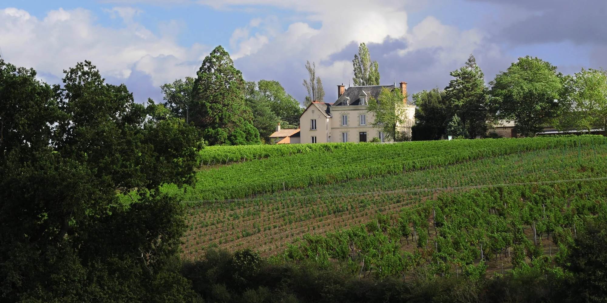 chateaudelaviaudiere-min
