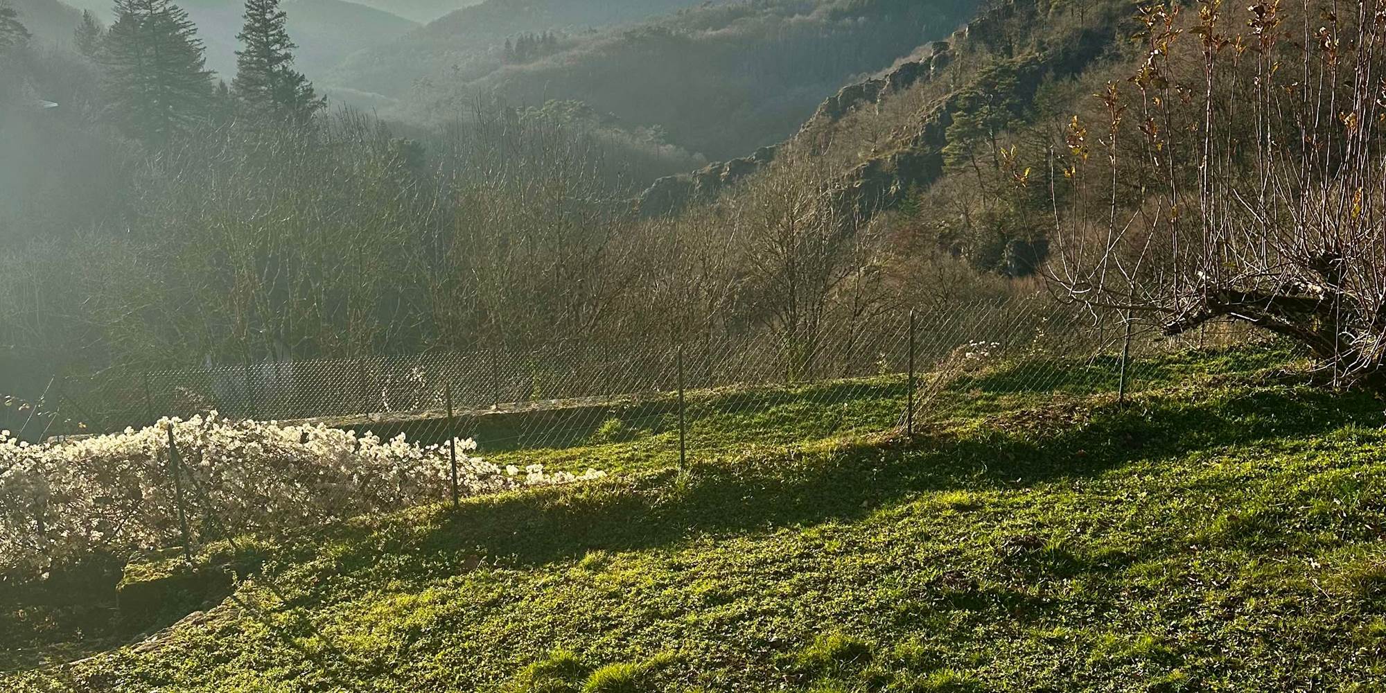 Juste attenant, le "Jardin de la Cure", sa Fontaine/Source d'Eau potable, ses Tables de Pique-nique ombragées. Siestes sous les Pommiers, bercés par le Chant des Cascades.
