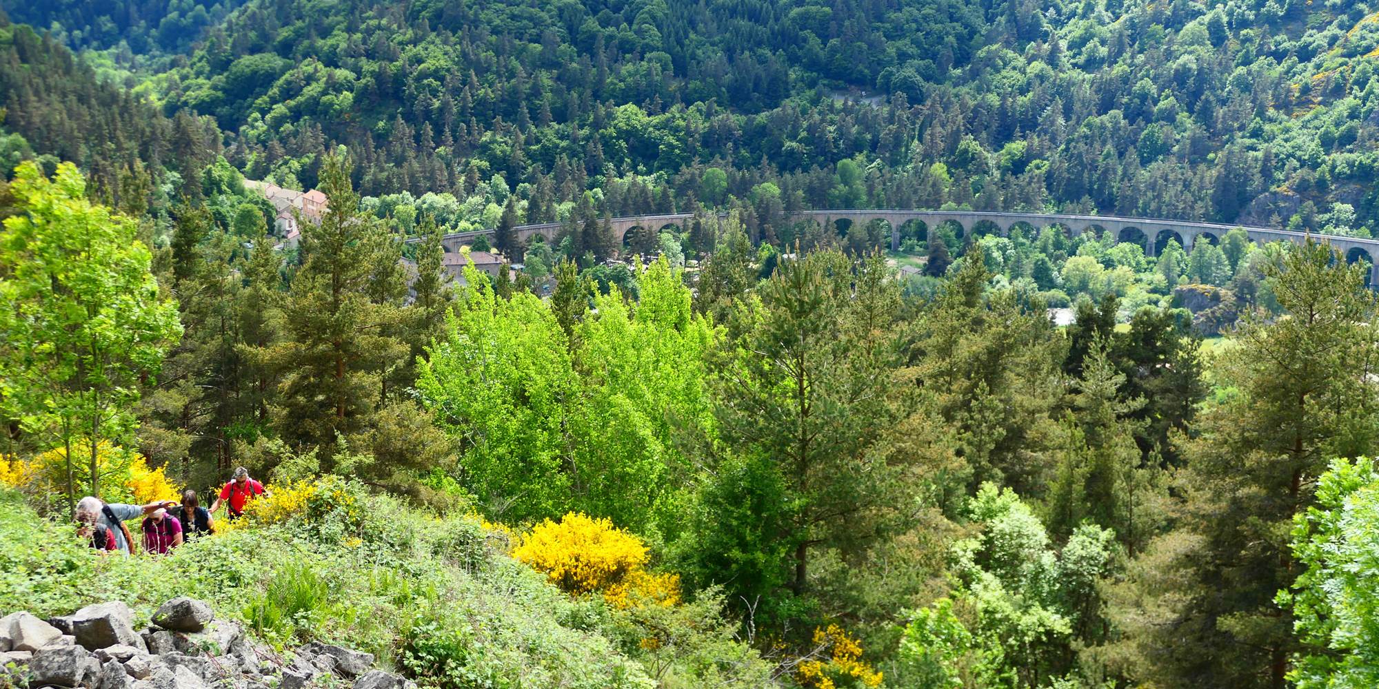 Ballade sur les chemins de Margeride