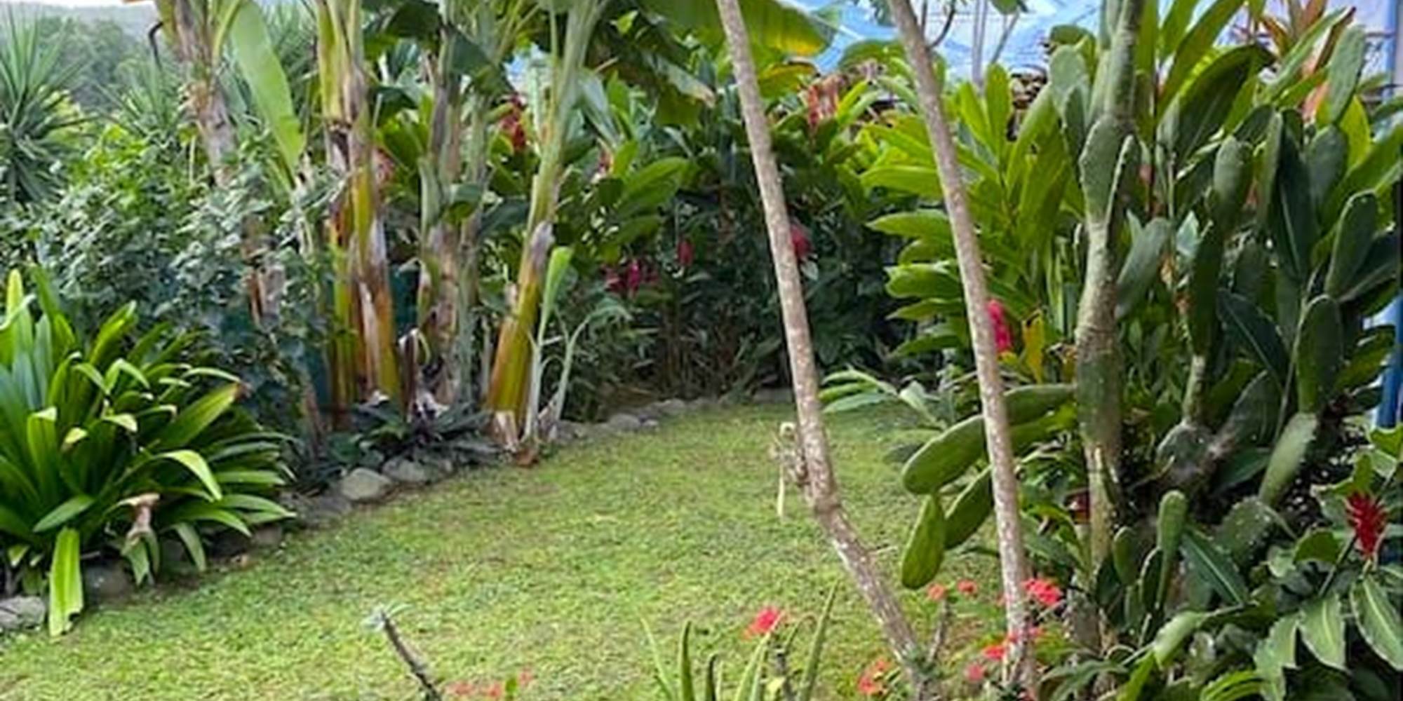 Jardin tropicale, vue sur les montagnes