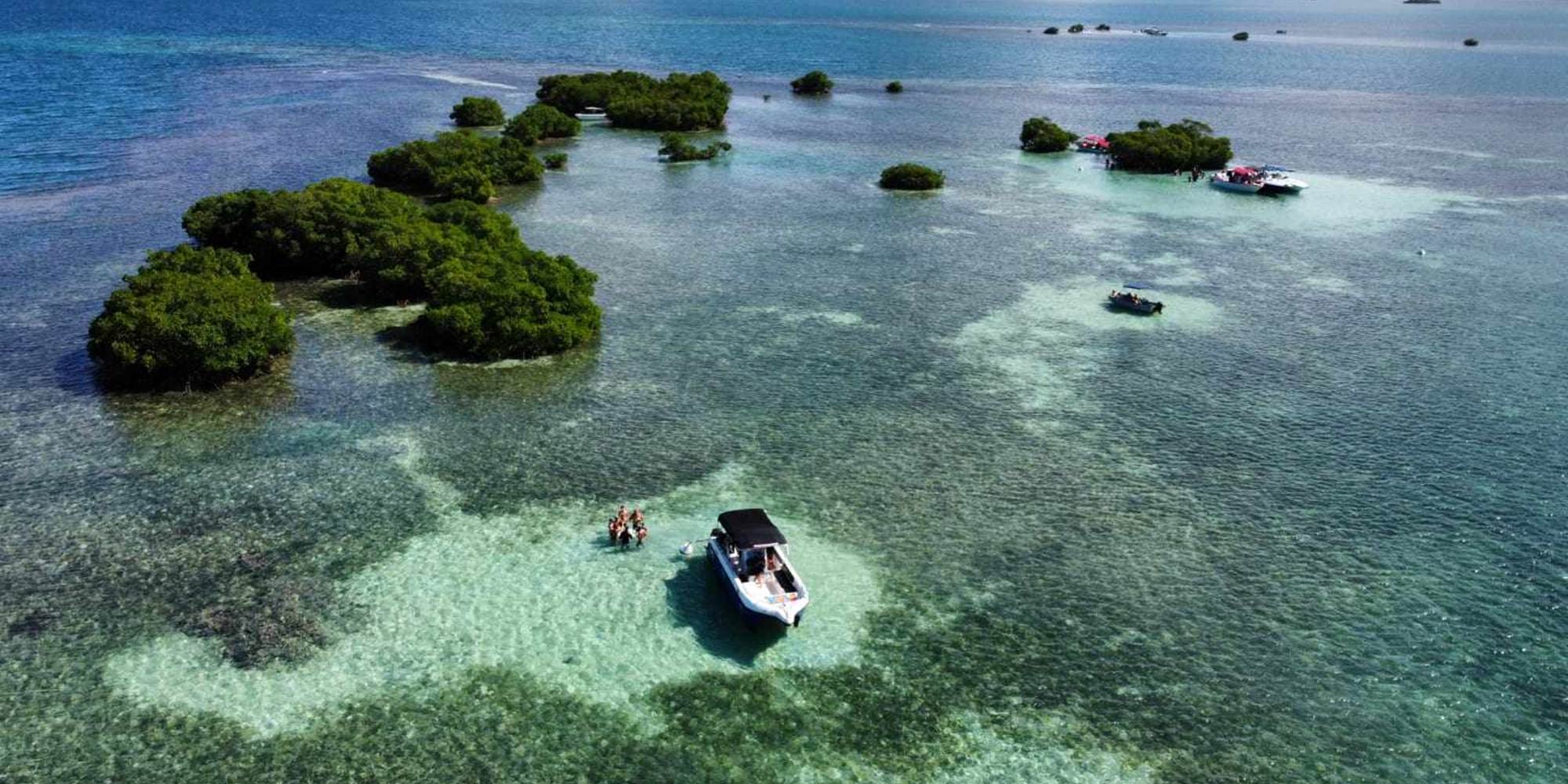 #decouverteiles #sortieenmer #locationbateau #tourismenautique #croisierejournee #bateauprive #activitecouple #voyage #experienceunique #loisirs #tourisme #week-end #plagesparadisiaques #tropical #ilecaraibes #snorkeling #excursionbateauguadeloupe #excursionbateaupascher #excursionbateauavis #excursionbateaureservation #meilleurexcursionbateauguadeloupe #excursionbateau2025 #guadeloupe #repas #aperitif #plongee #plage #masque #tuba