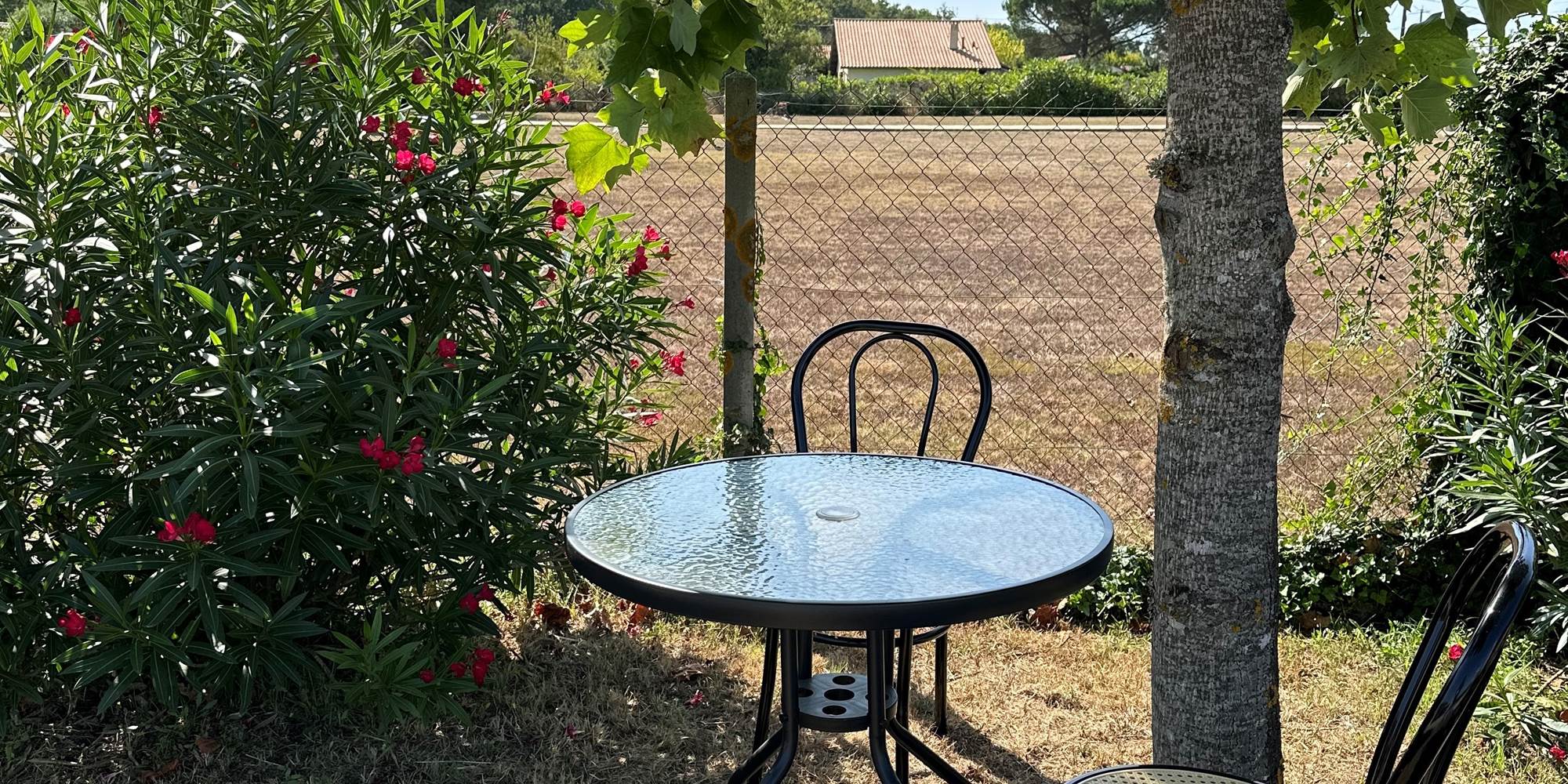 table-jardin-ombragee-arbre-detente_mas-des-anges_soussans-margaux