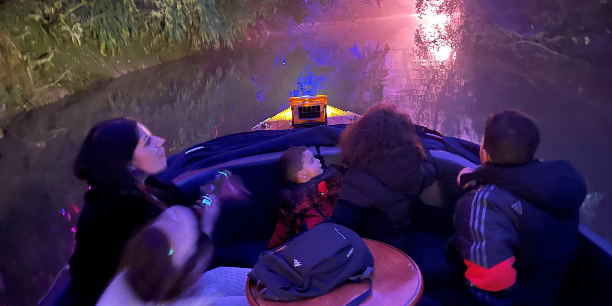 Les lumières du jardin des plantes illuminent le tescou