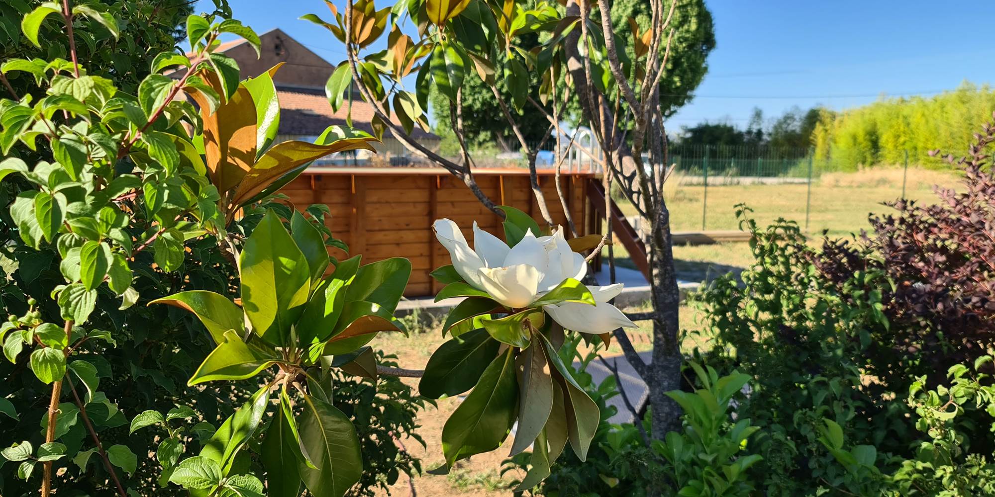 piscine avec vue Sainte Victoire