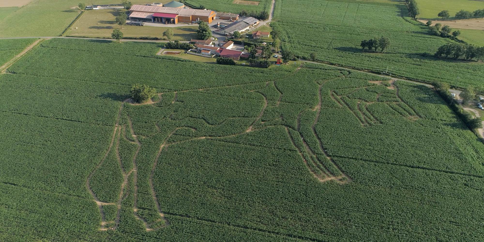 labyrinthe de maïs de 2019 mais attention chaque année il change de forme...