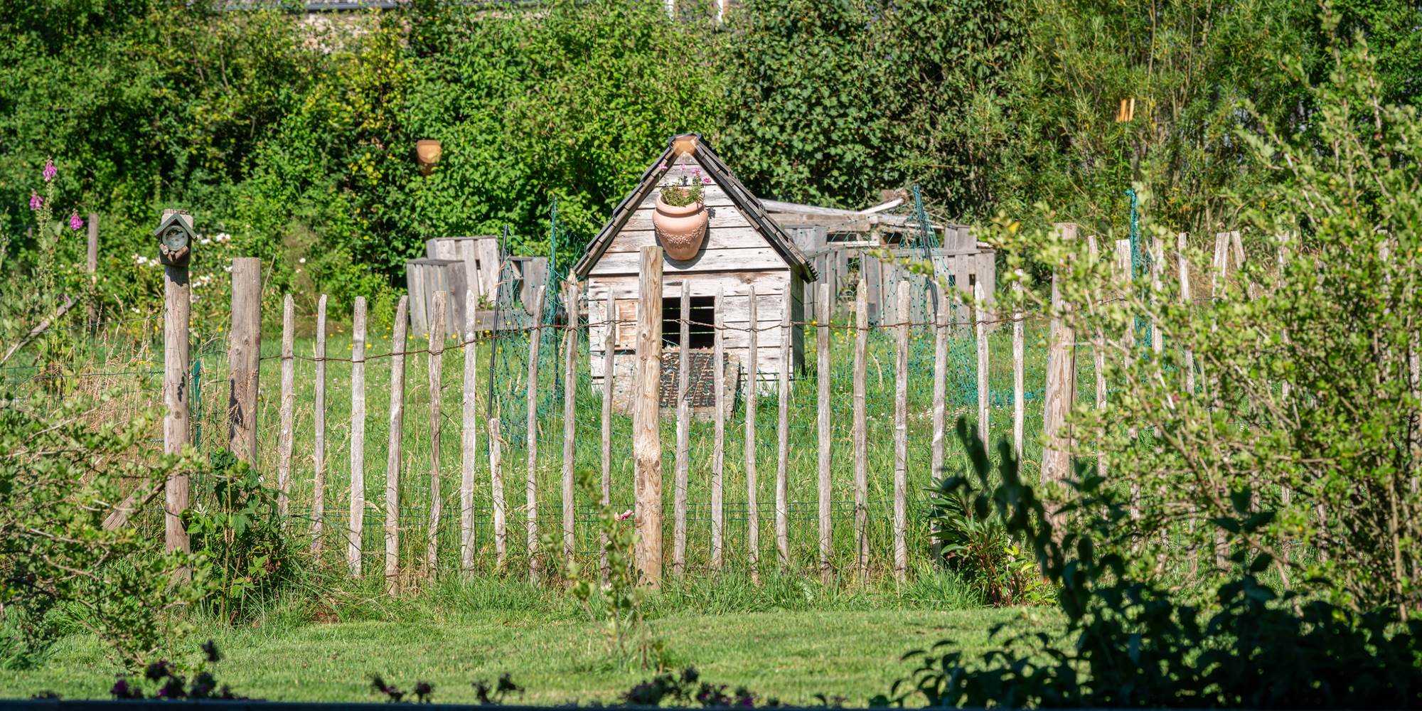 La maison des canards, dans le potager