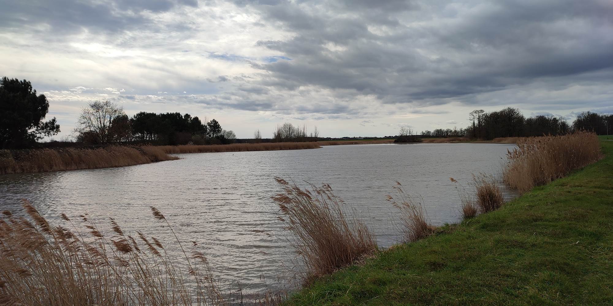 Etang de Brenne