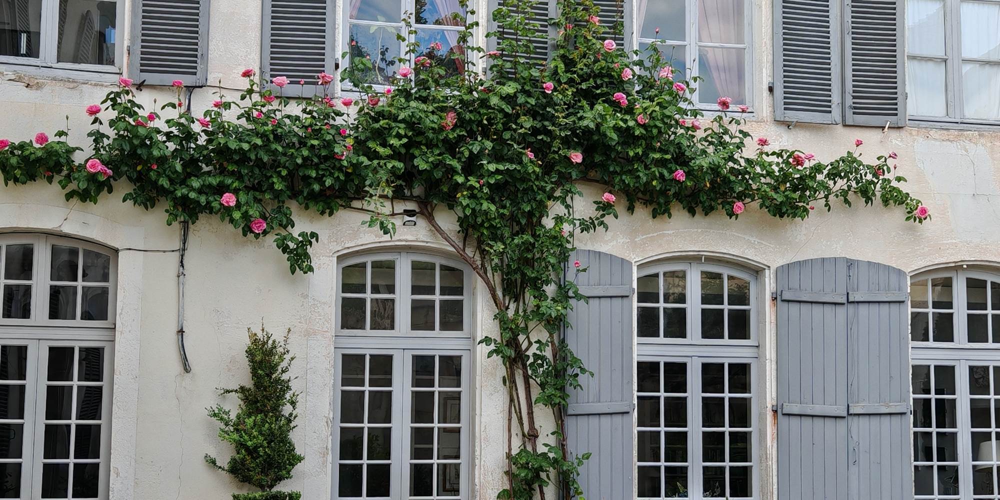 Côté Cour