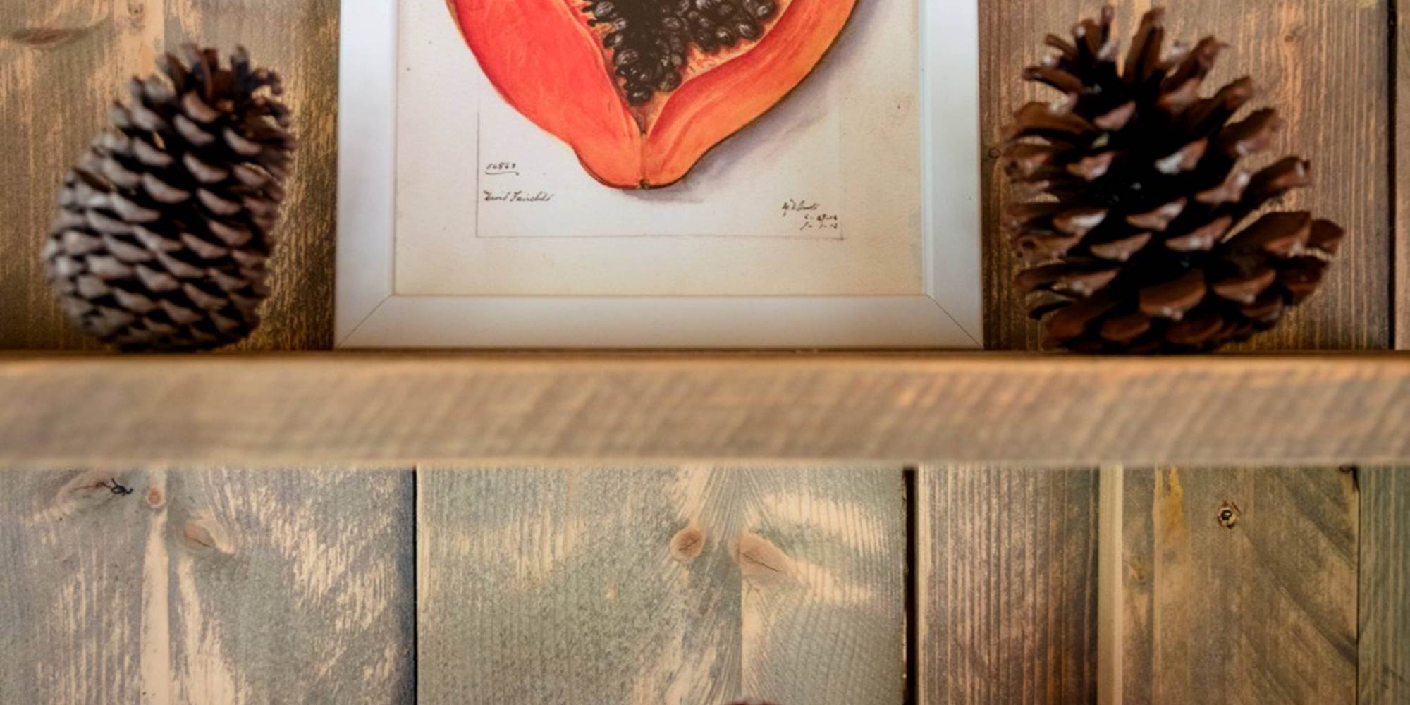 détail déco écolodge sunshine