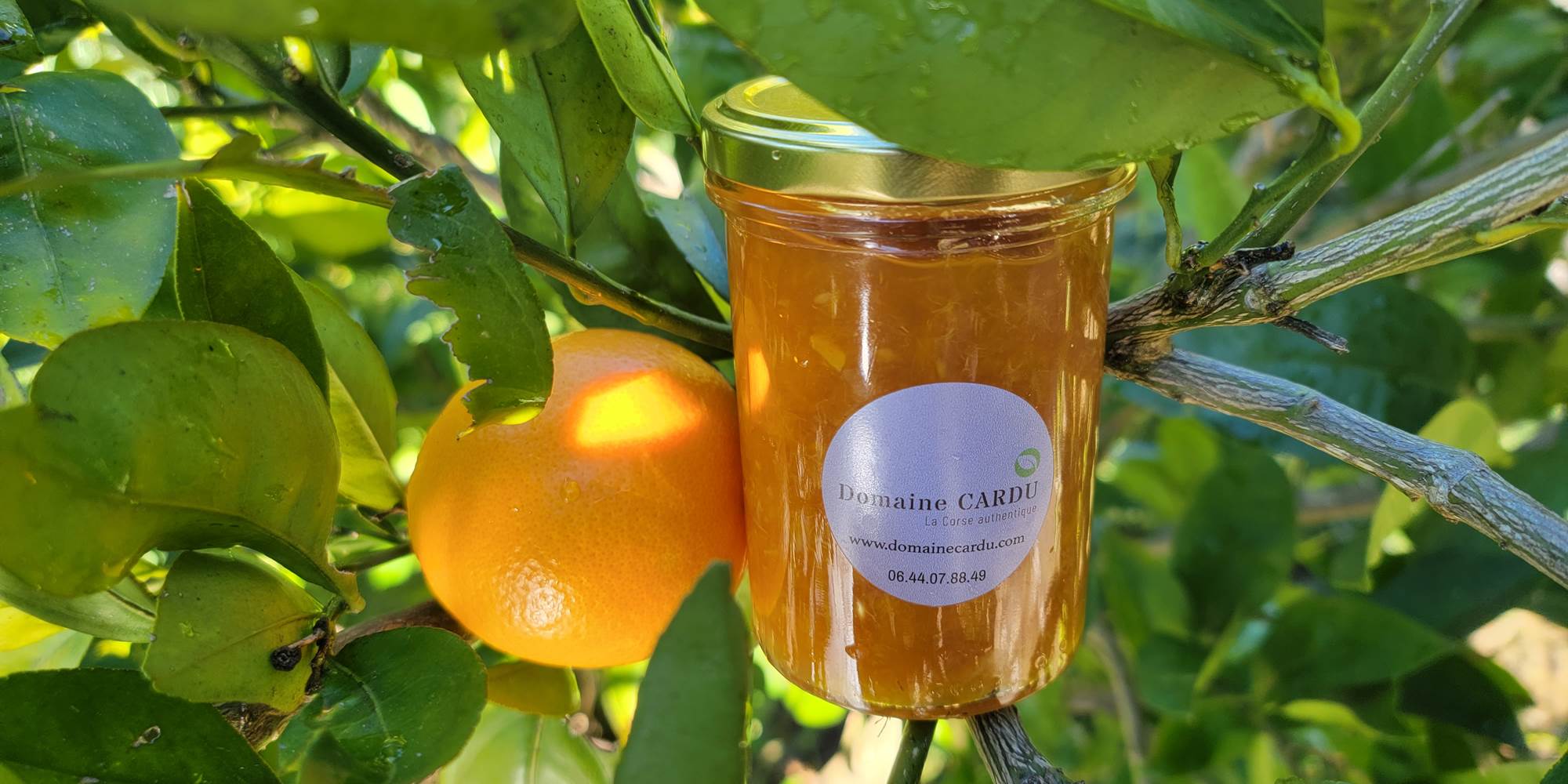Confiture artisanale maison servie au petit-déjeuner du Domaine Cardu, élaborée avec des fruits du verger.