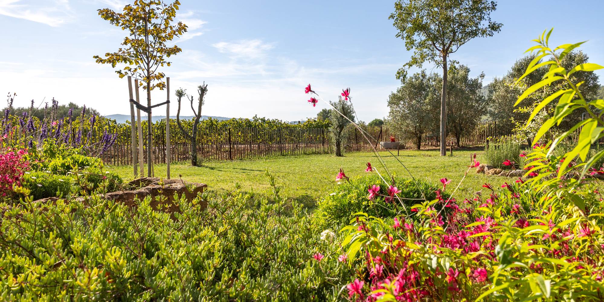 Domaine des Peirecedes-0139