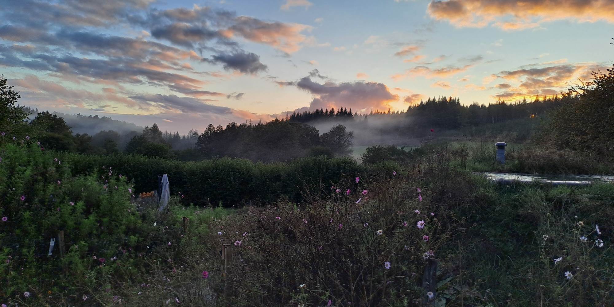 brume du matin