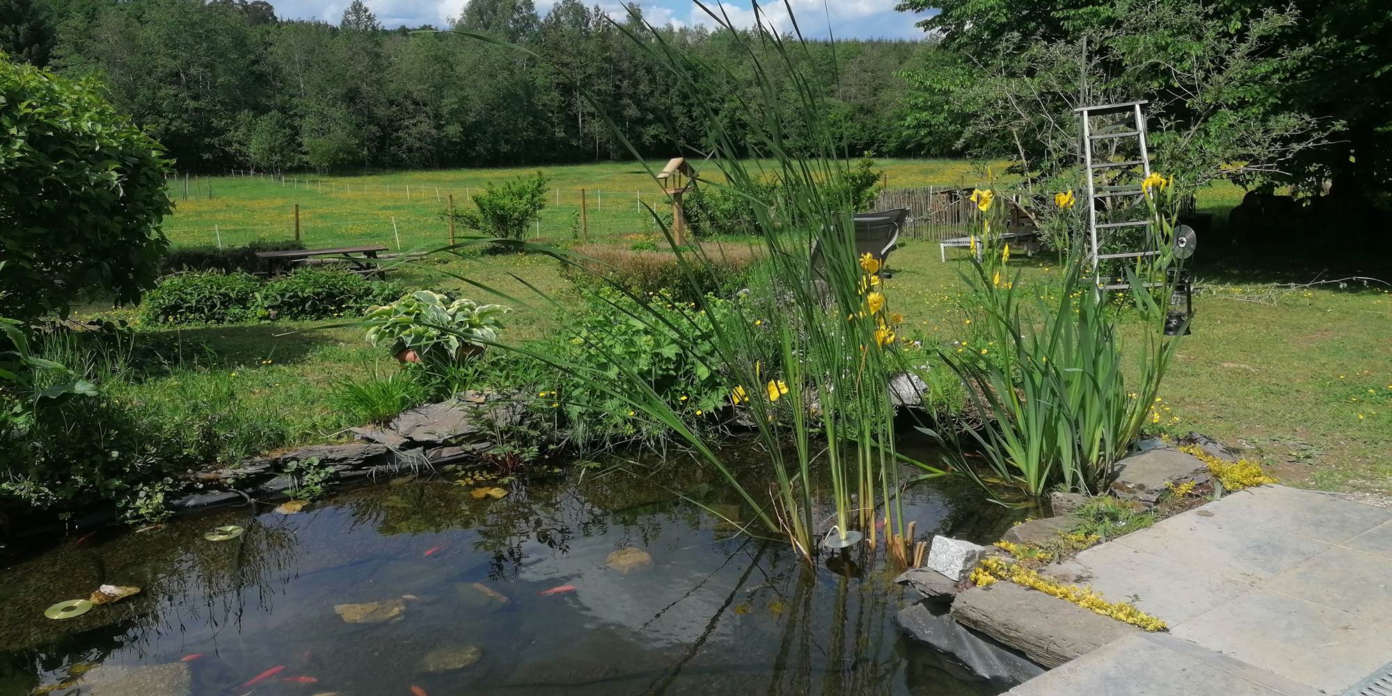 Jardin