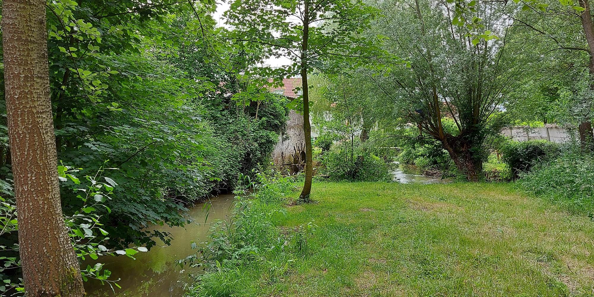 La planquette en amont de l'ancien moulin