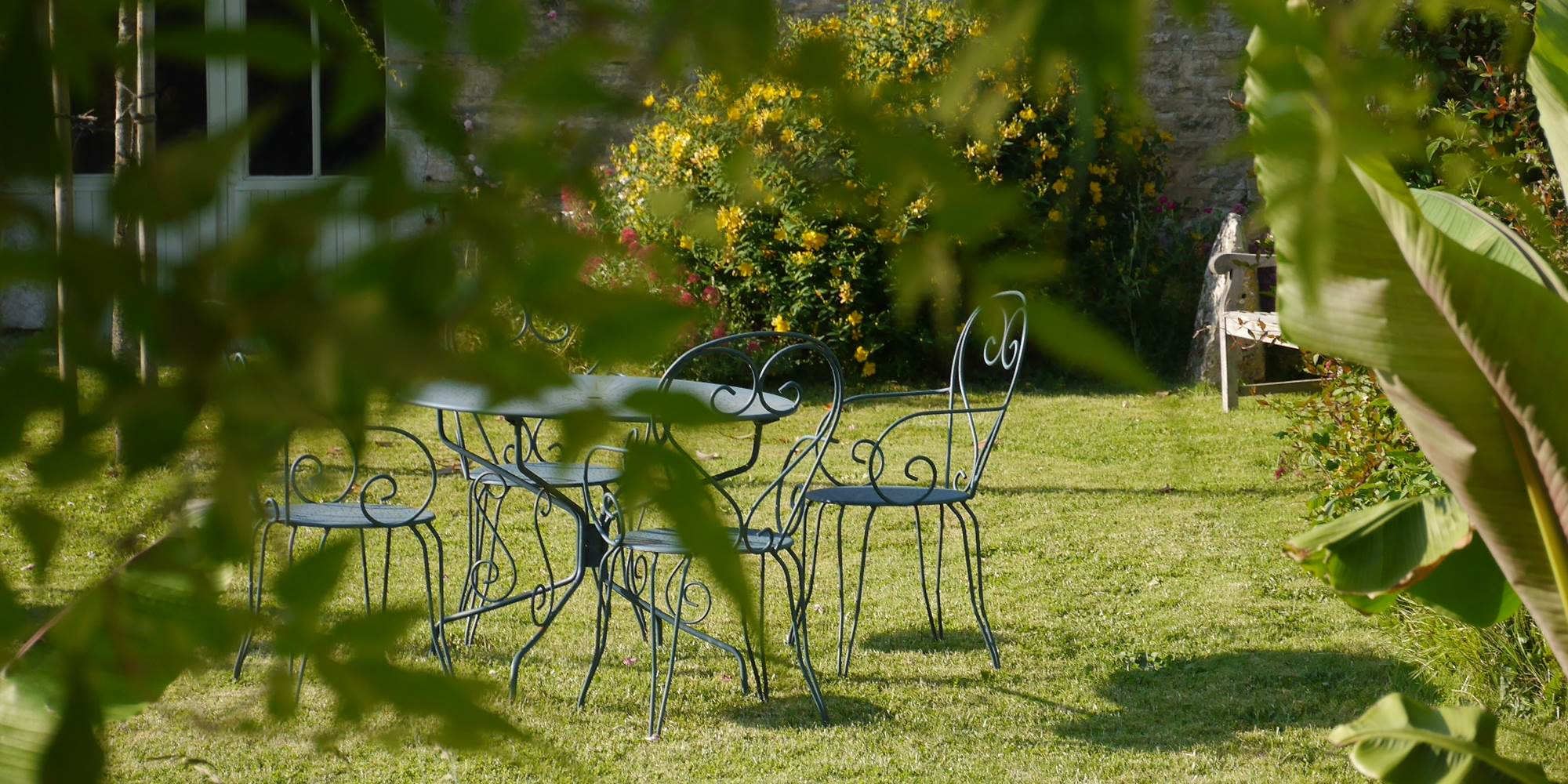 460-Rosier sauvage/©Les Guides Rivages