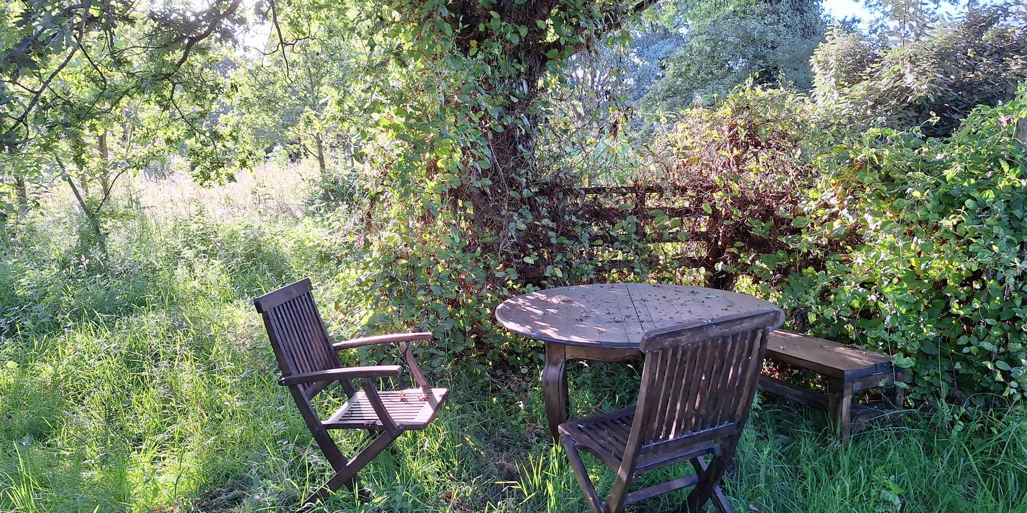 coin-repas-exterieur-sous-chenes-nature-camping-masserac.jpg