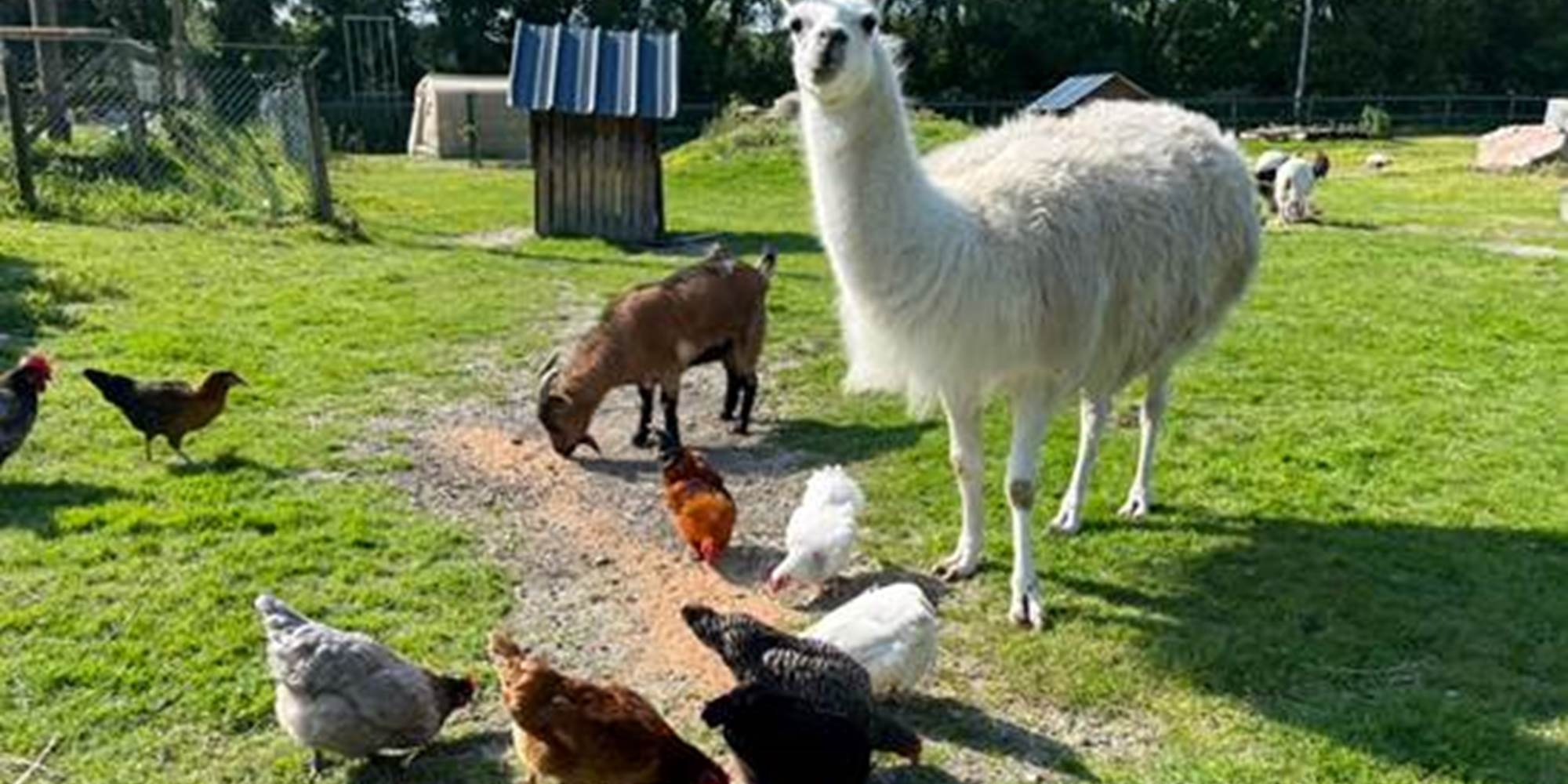 375764388842565323786156449505647567916136n