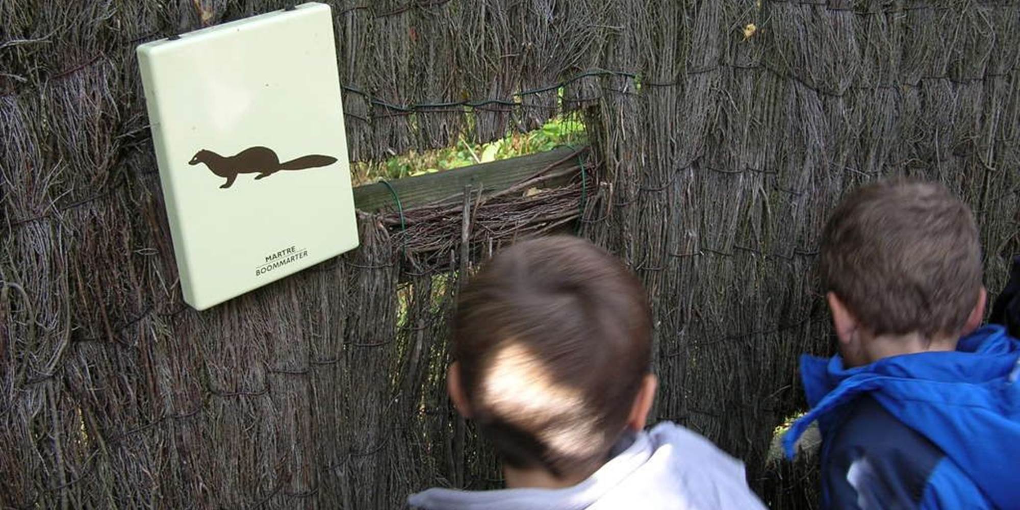 Voir sans être vu au Parc Chlorophylle