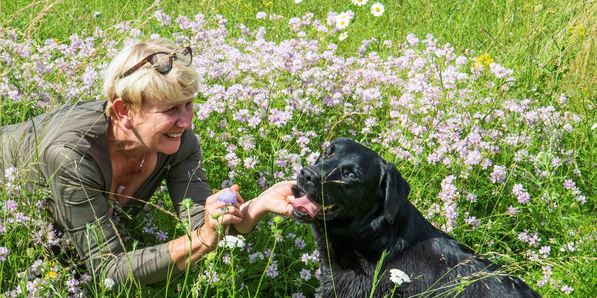 Un amour de chien
