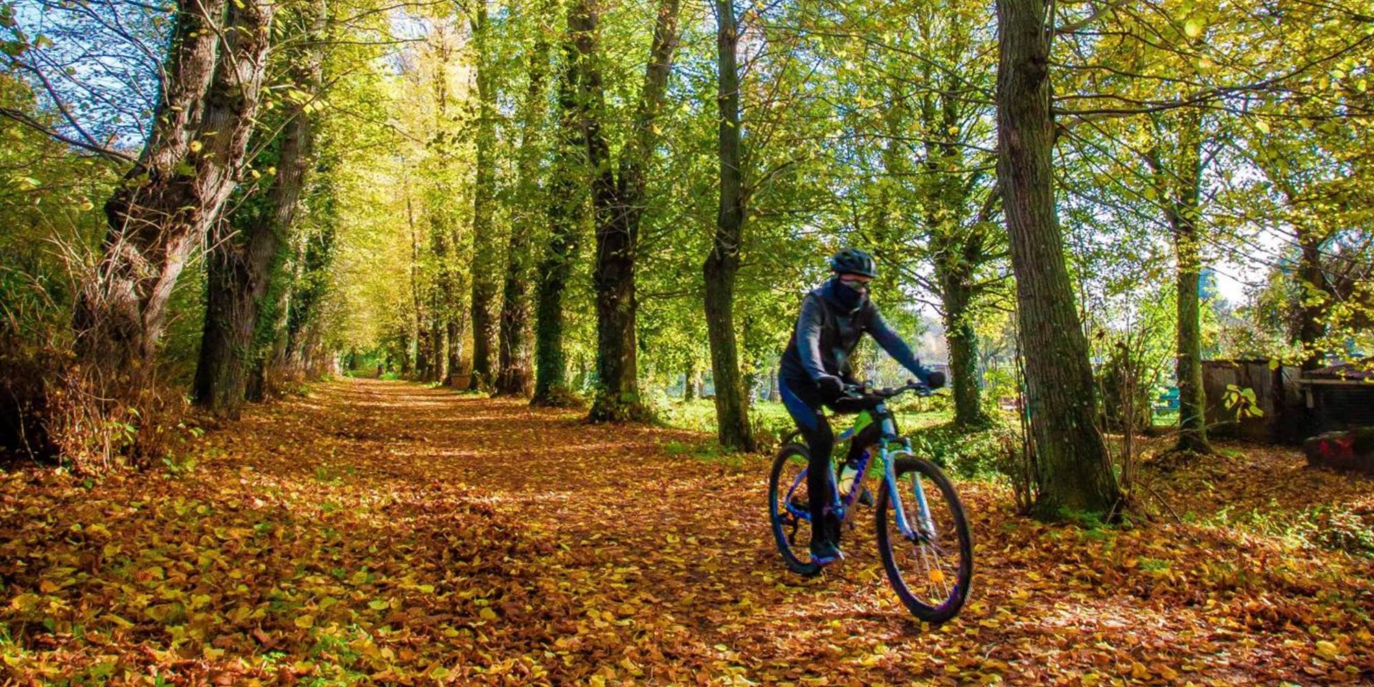 Entre sentiers boisés et paysages vallonnés, la forêt d’Hesdin offre des itinéraires vélo idéals pour un séjour actif au cœur du Pays des 7 Vallées.