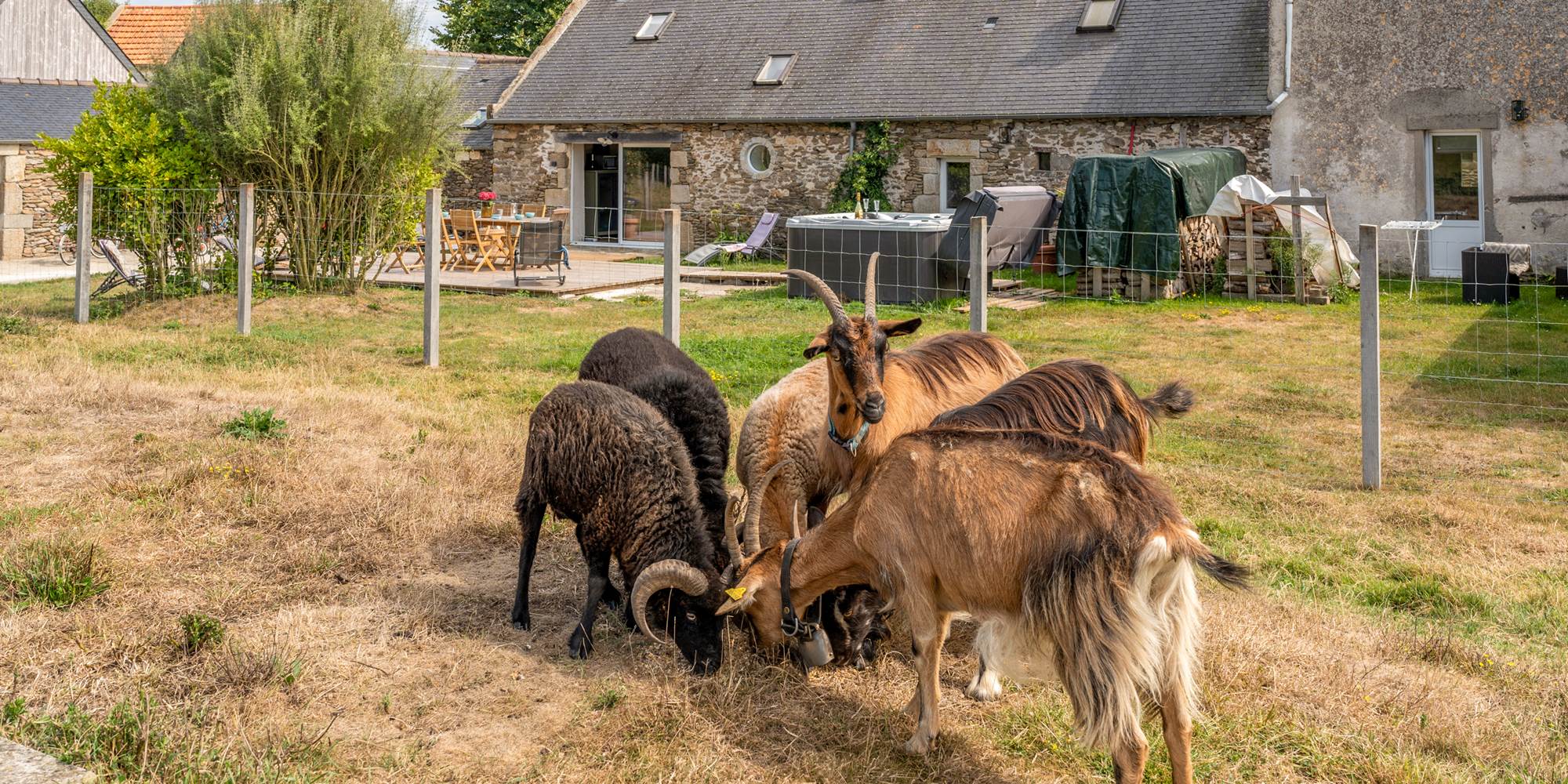 350 chemin de Trovern_Plougonvelin_21082025_ (24)