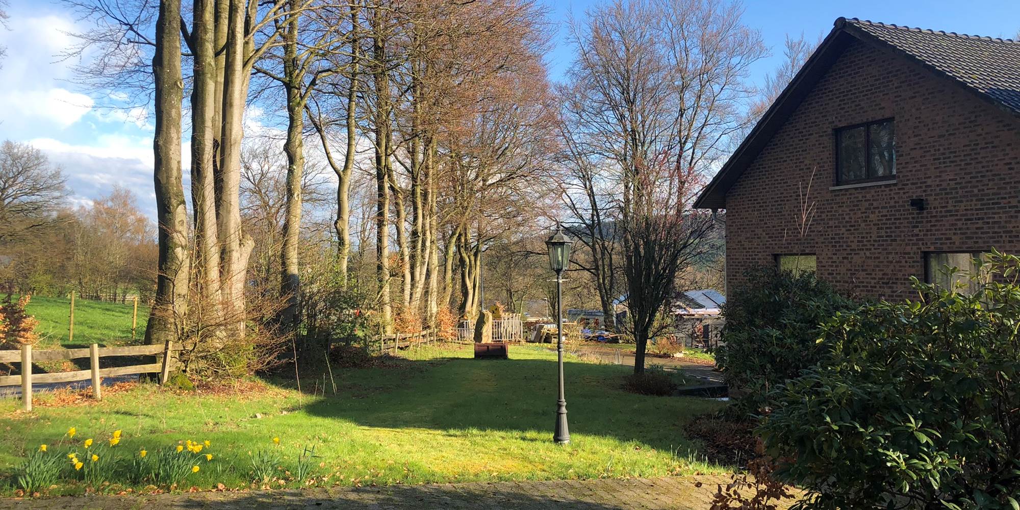 Jardin avant, les Hêtres centenaires