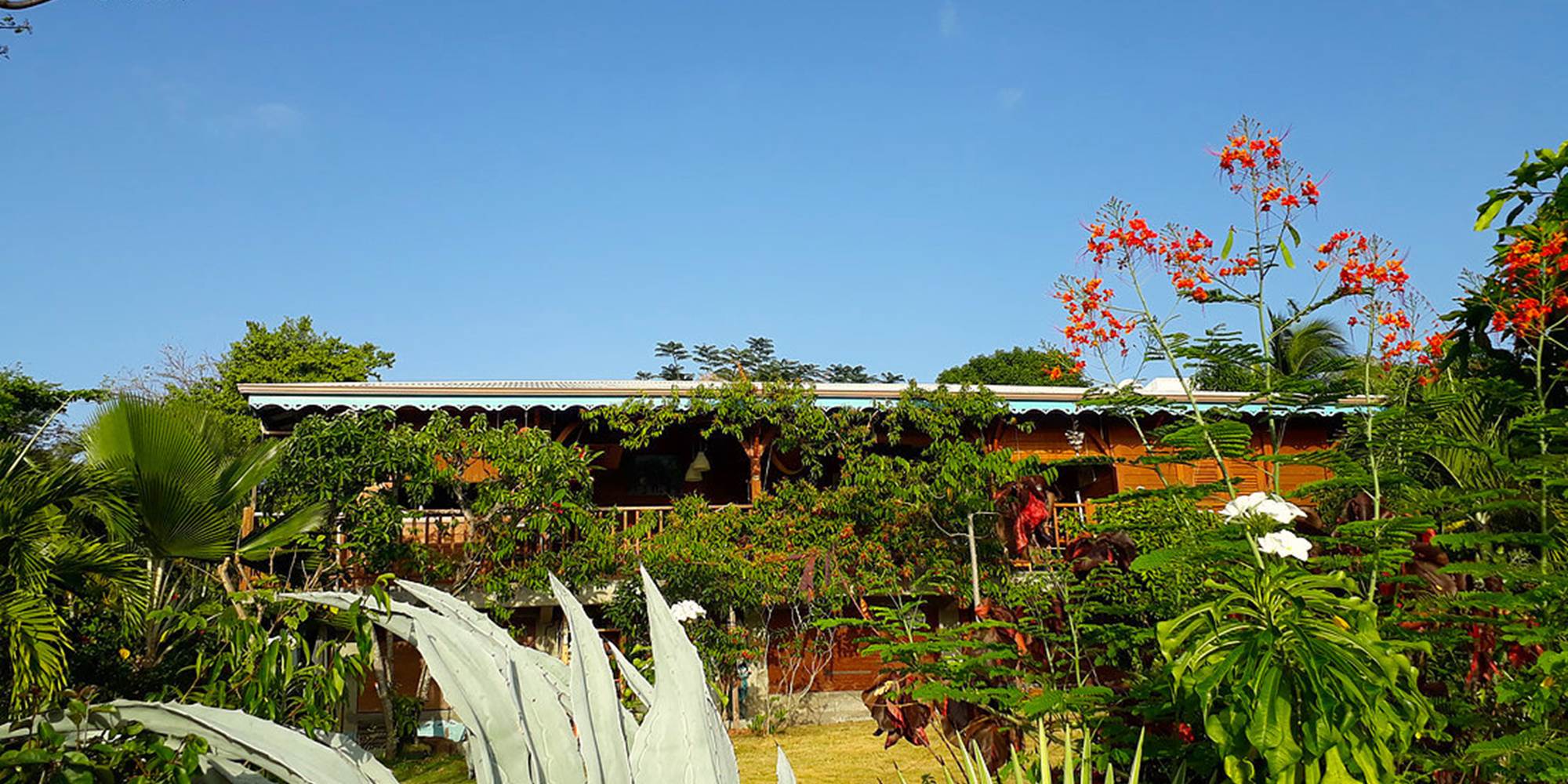 Vue depuis le jardin