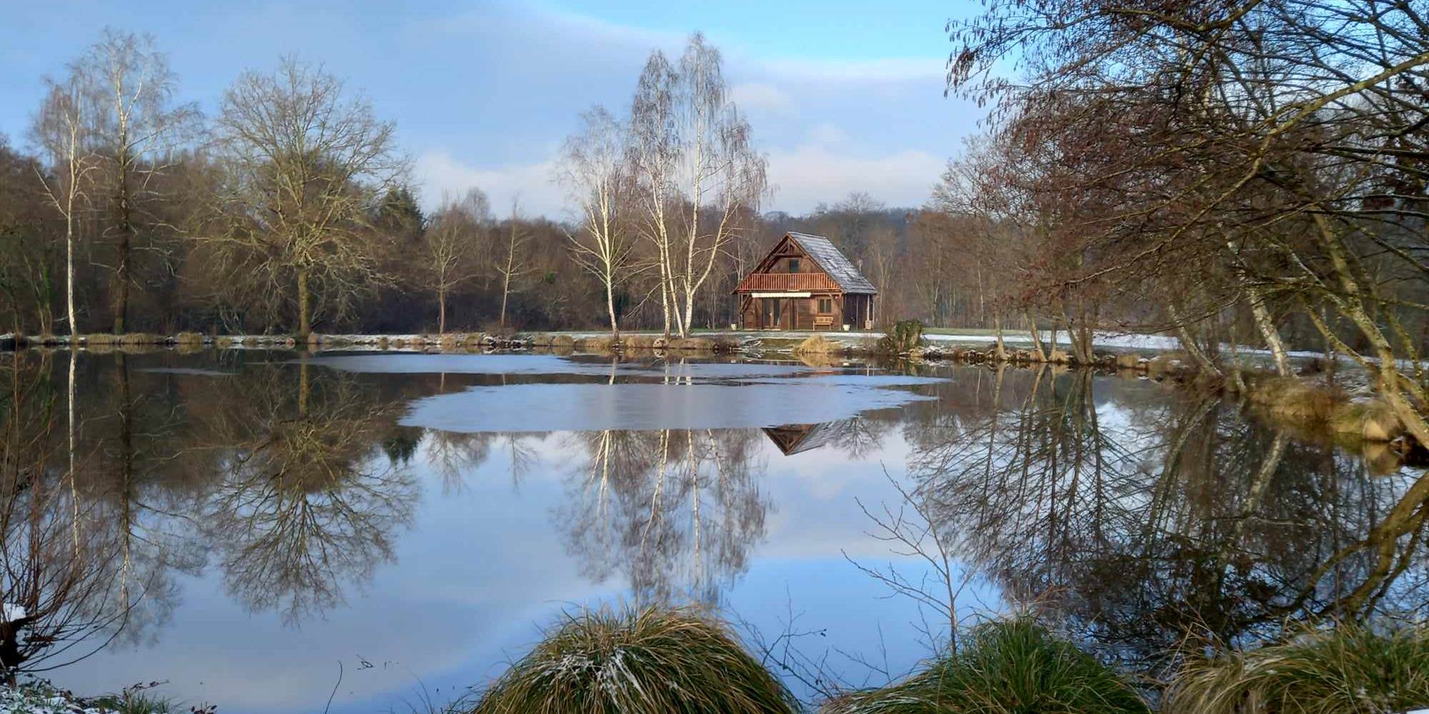 Un beau paysage d'hiver