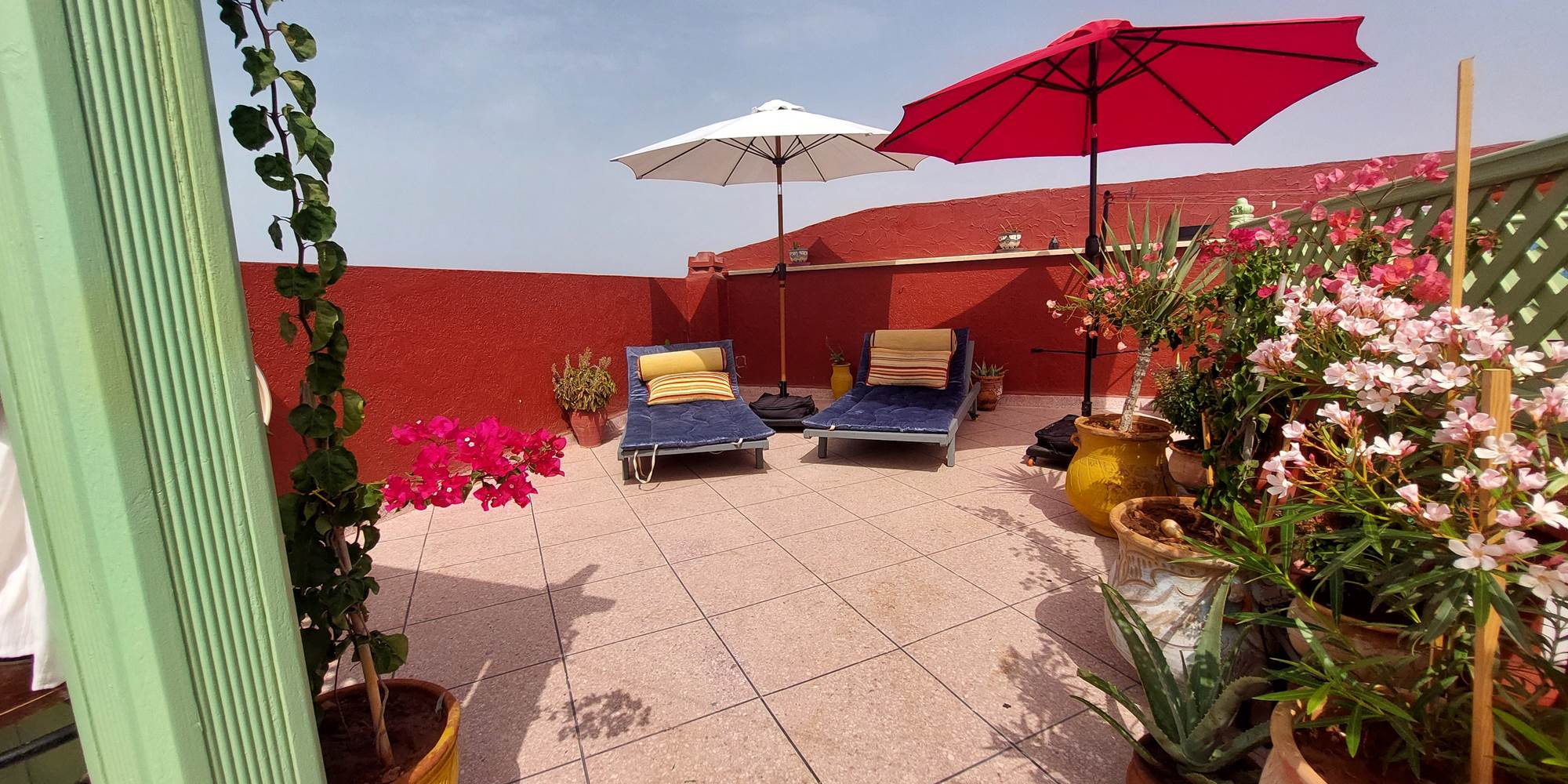 Terrasse_parasols
