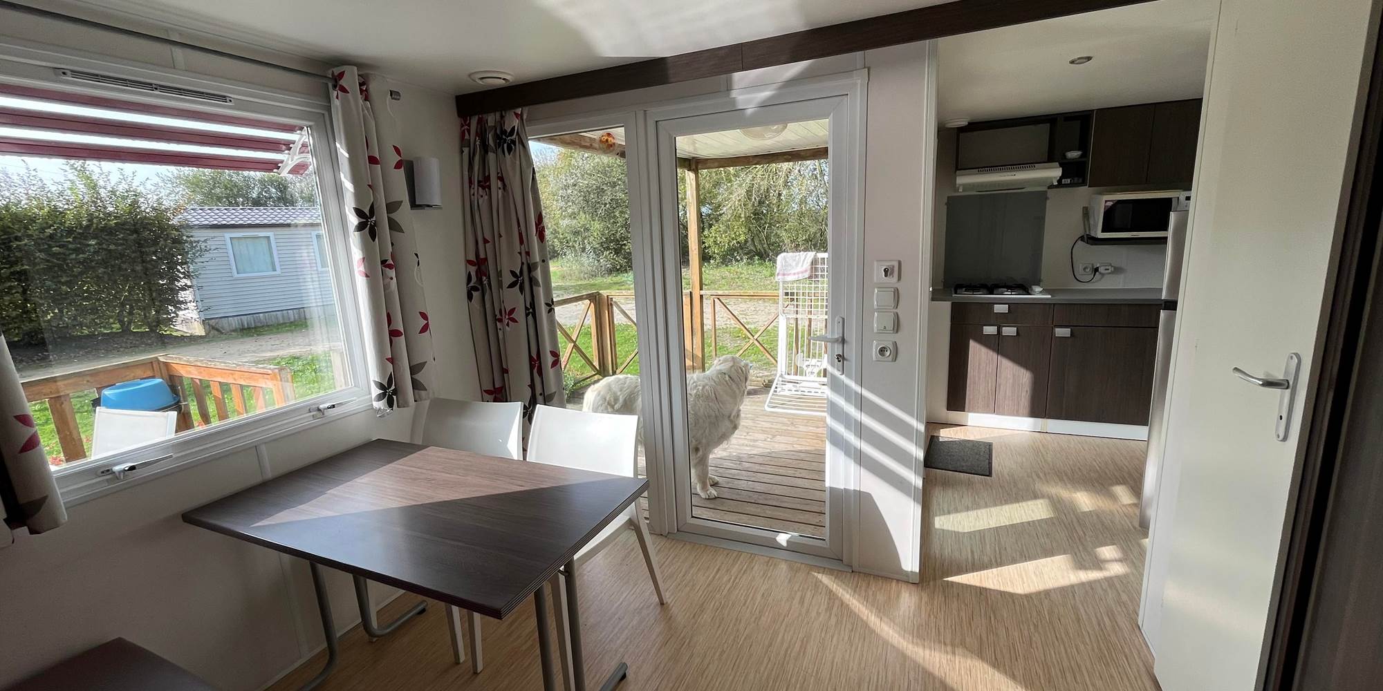 379643471_1350810665873604_2534100273192300938_n