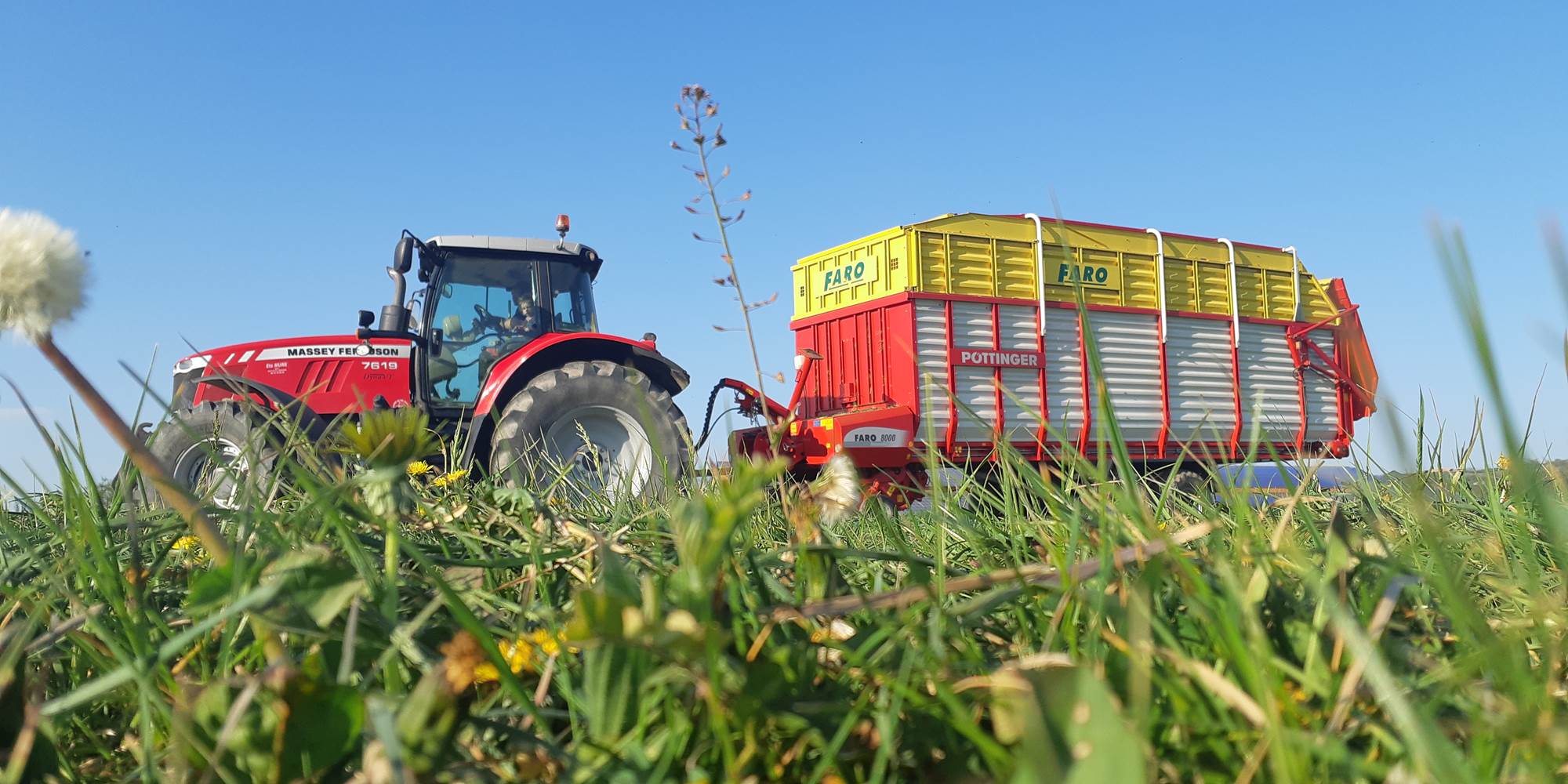 recolte du foin - Ferme des Délices
