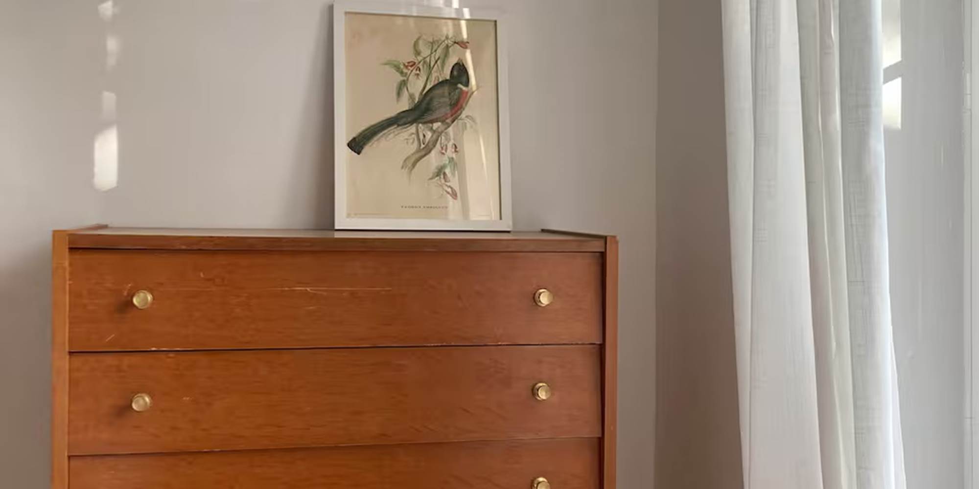 c9007bc4-612f-48c9-9f8f-db7981a7f046