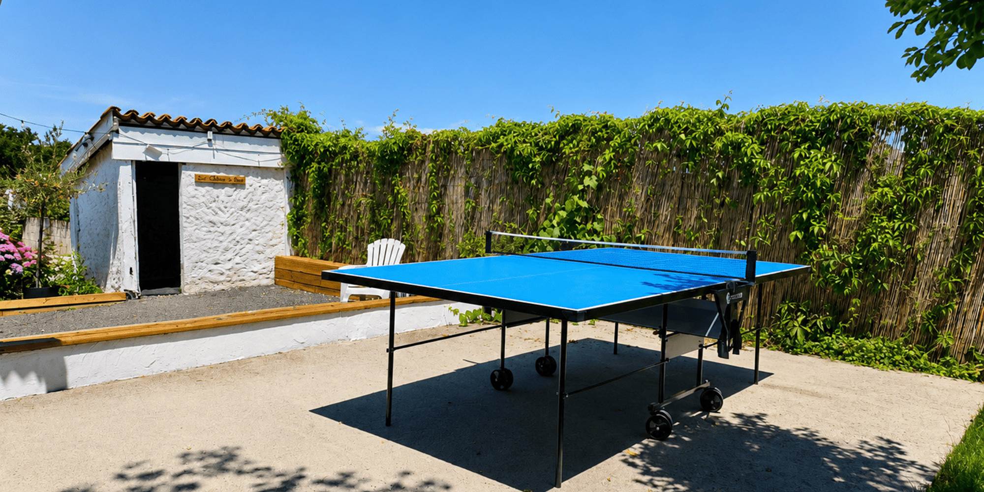 PING PONG