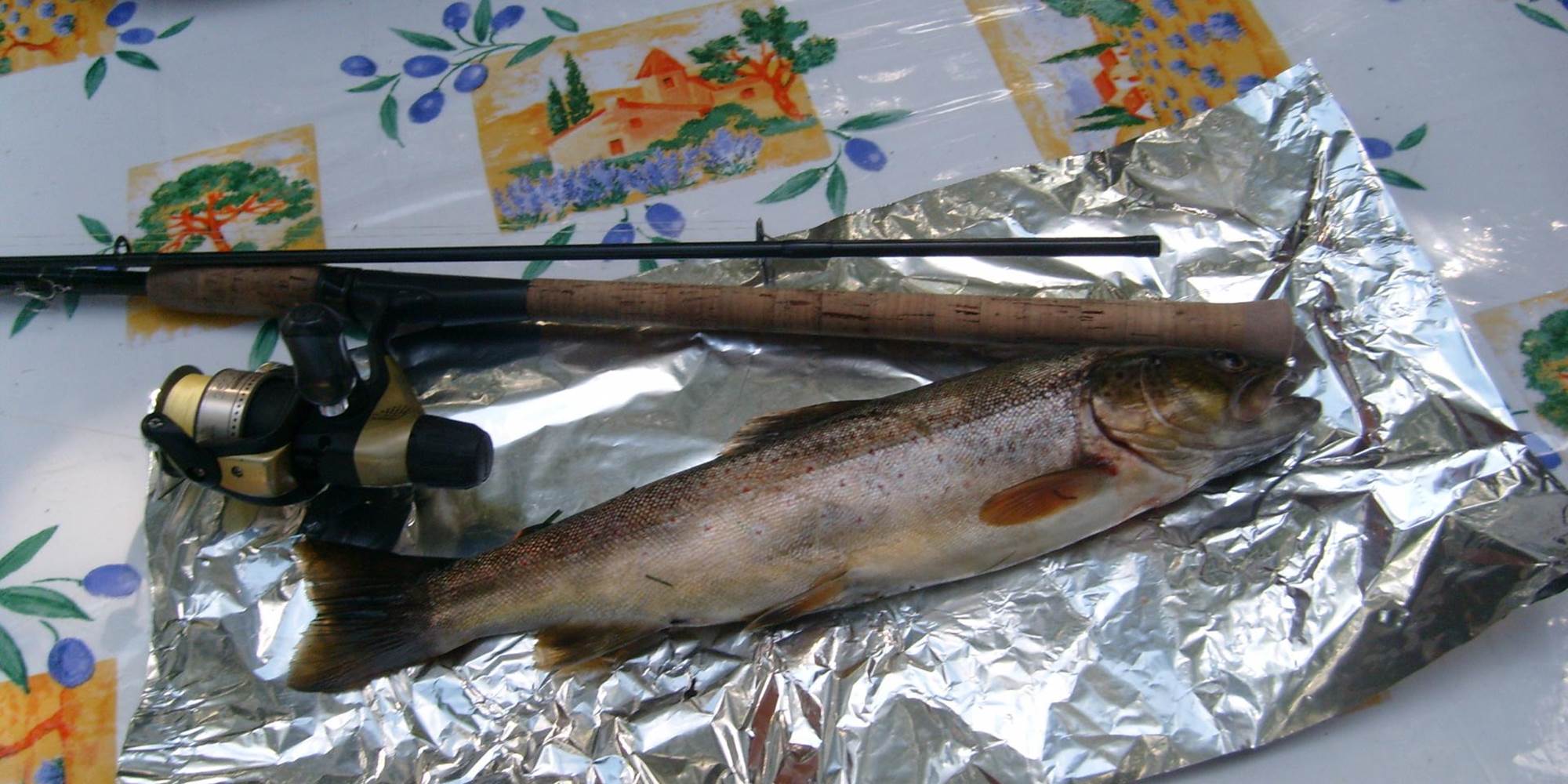 La pêche à la truite dans les gorges du haut Allier et le Chapeauroux