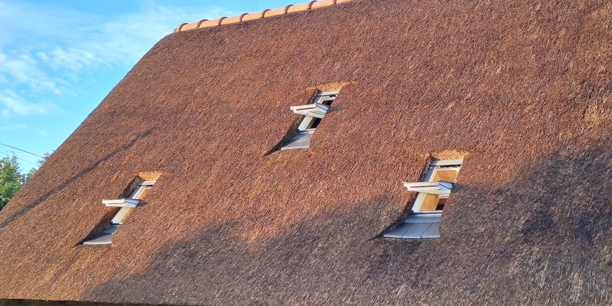 Velux dans le chaume