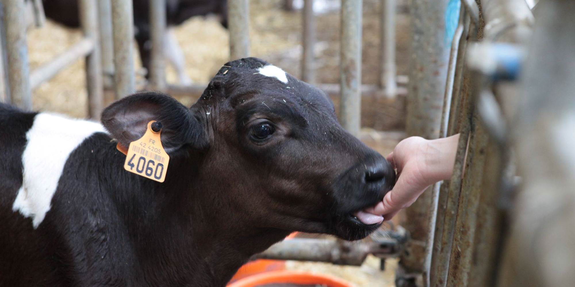 87163722_2607237946040539_842880511431933952_n