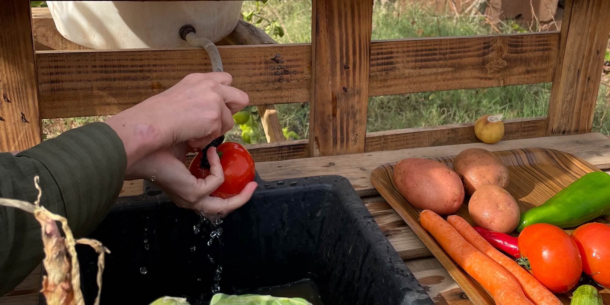 Farm to table