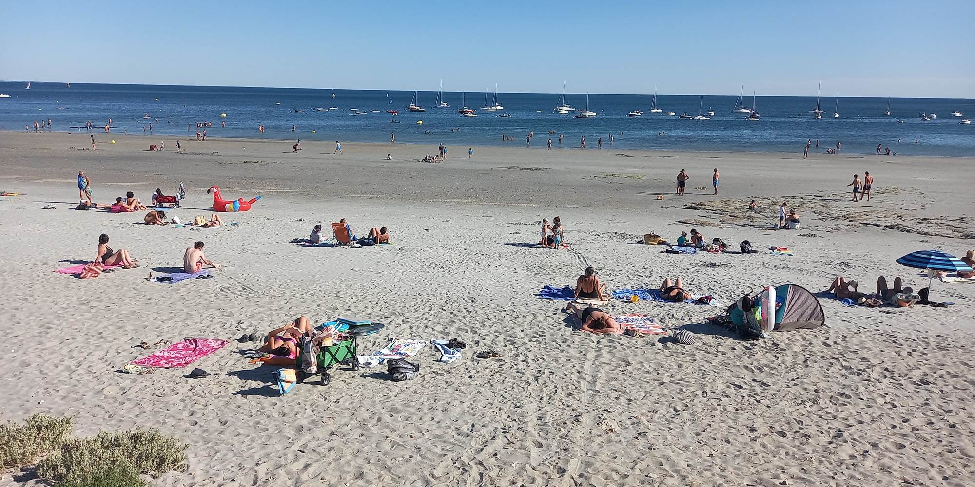 plage du Roaliguen-sarzeau-golfe-du-morbihan.jpg