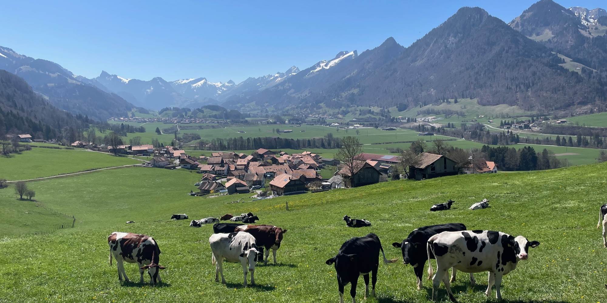 Vue au-dessus de la maison