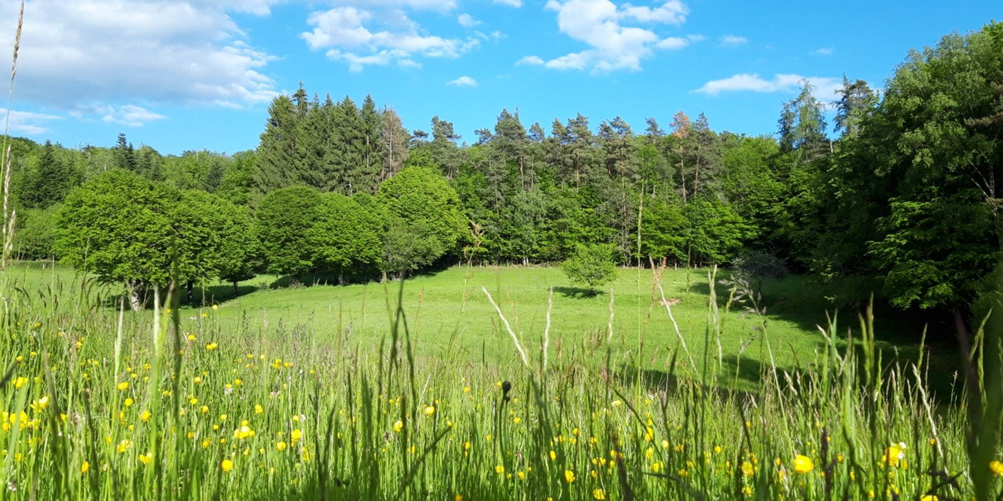 le vallon printanier leschaumieresdebrameix